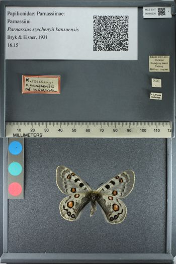 Media type: image;   Entomology 180330